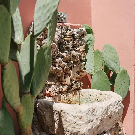 Koritos Agios Leon